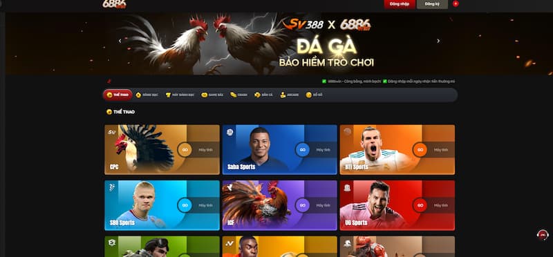 Đá gà 6886win chi tiết